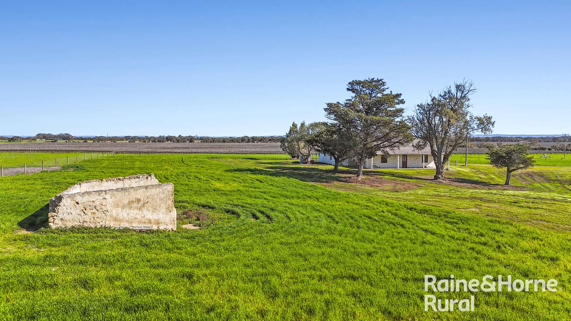 144 Verco Road, Langhorne Creek For Sale by Farmbuy.com - image 10