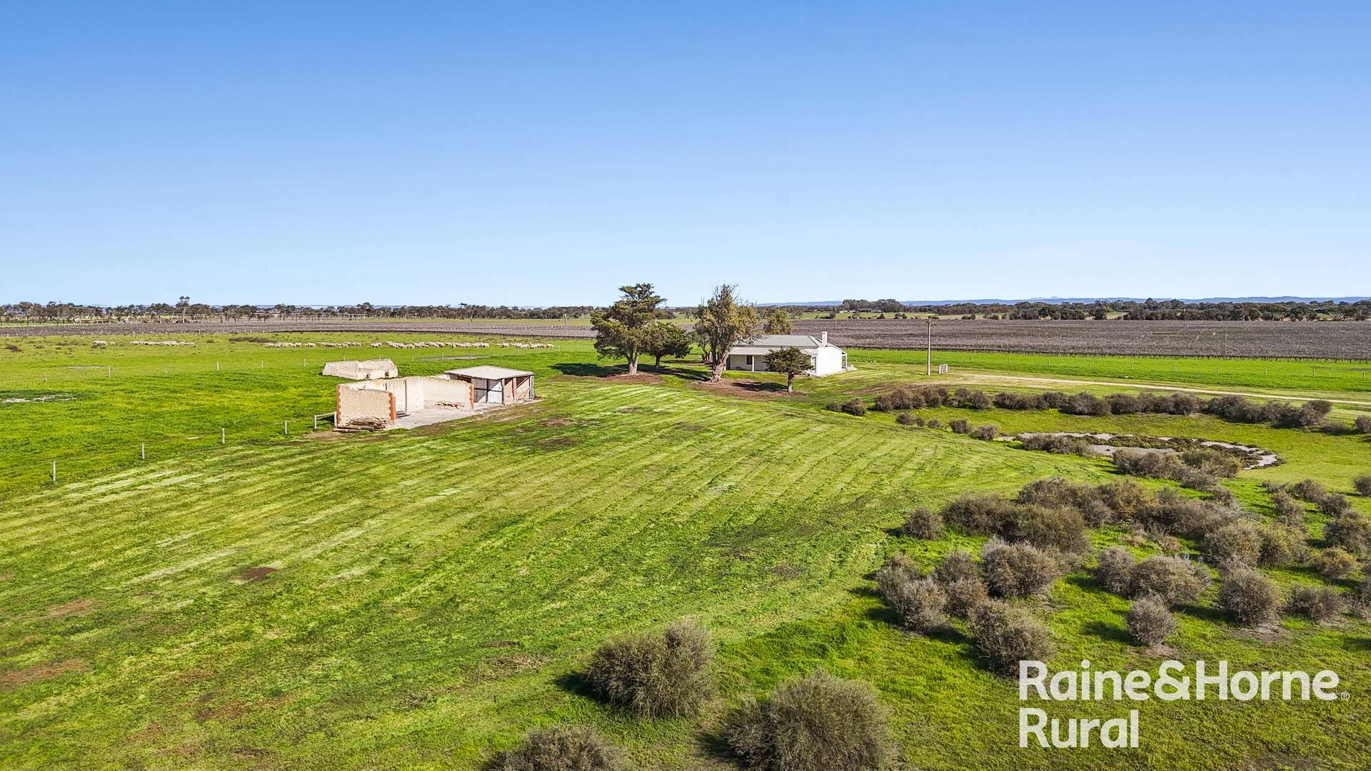 144 Verco Road, Langhorne Creek For Sale by Farmbuy.com - image 21