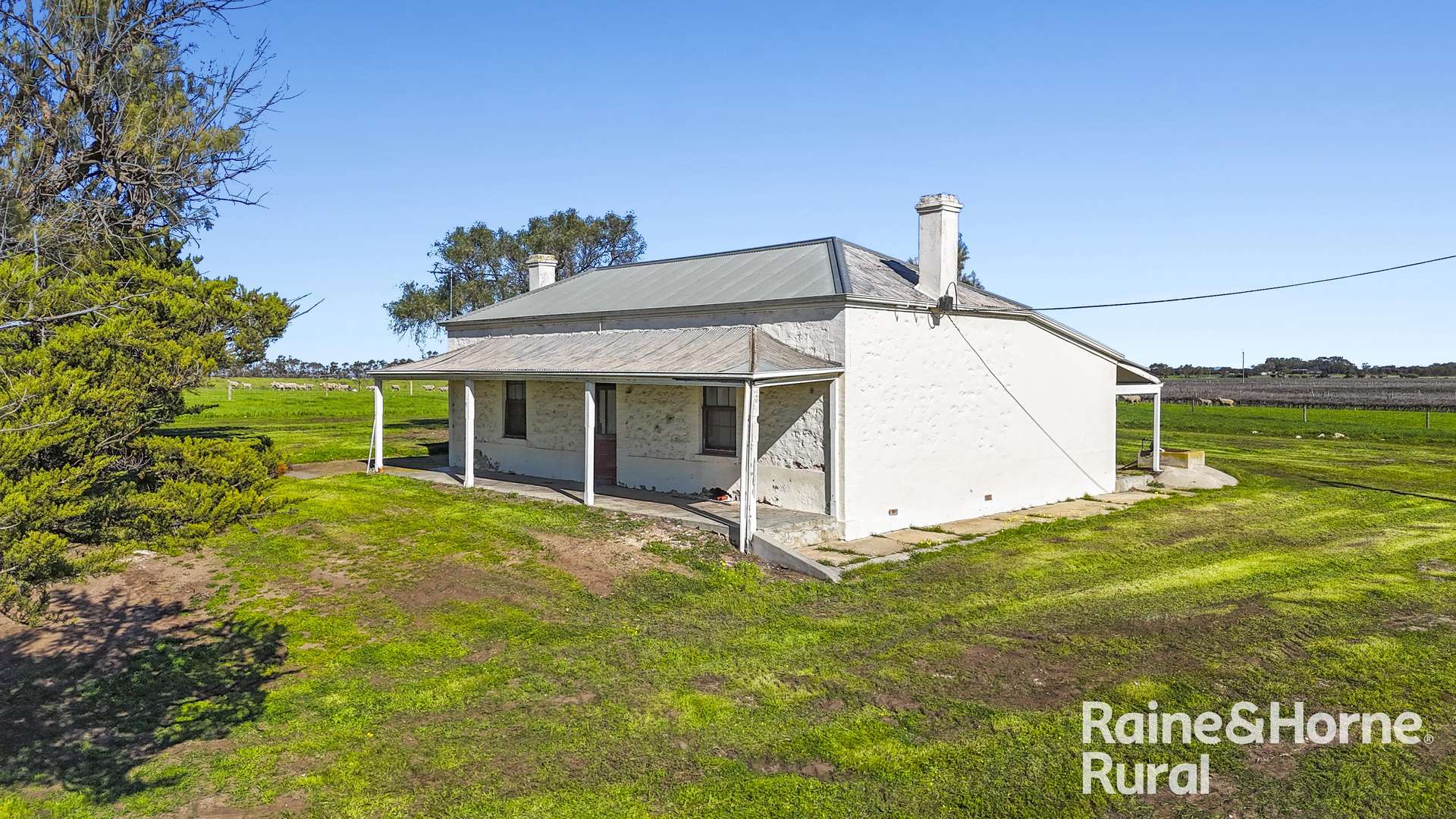 144 Verco Road, Langhorne Creek For Sale by Farmbuy.com - image 4