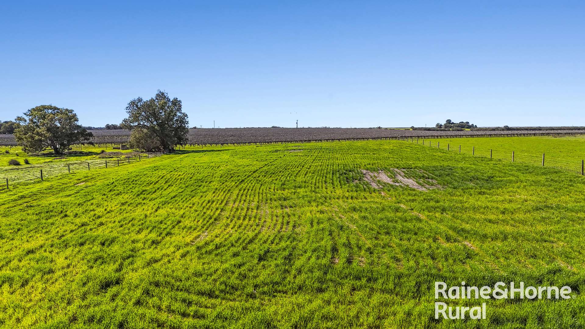 144 Verco Road, Langhorne Creek For Sale by Farmbuy.com - image 23