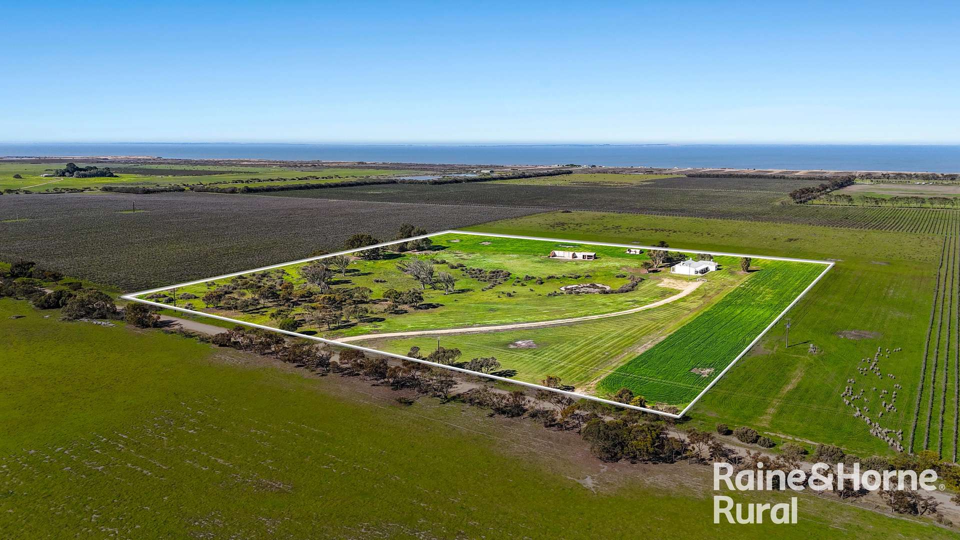 144 Verco Road, Langhorne Creek For Sale by Farmbuy.com - image 5