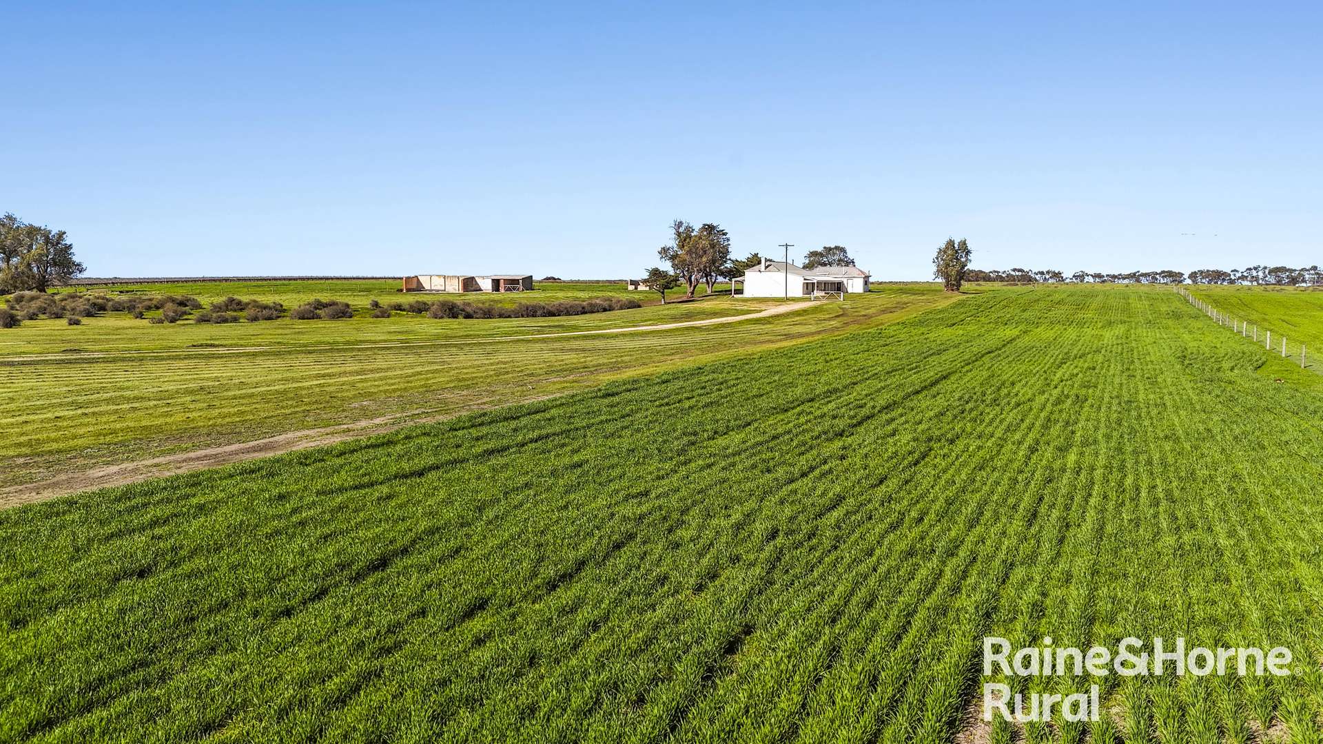 144 Verco Road, Langhorne Creek For Sale by Farmbuy.com - image 4