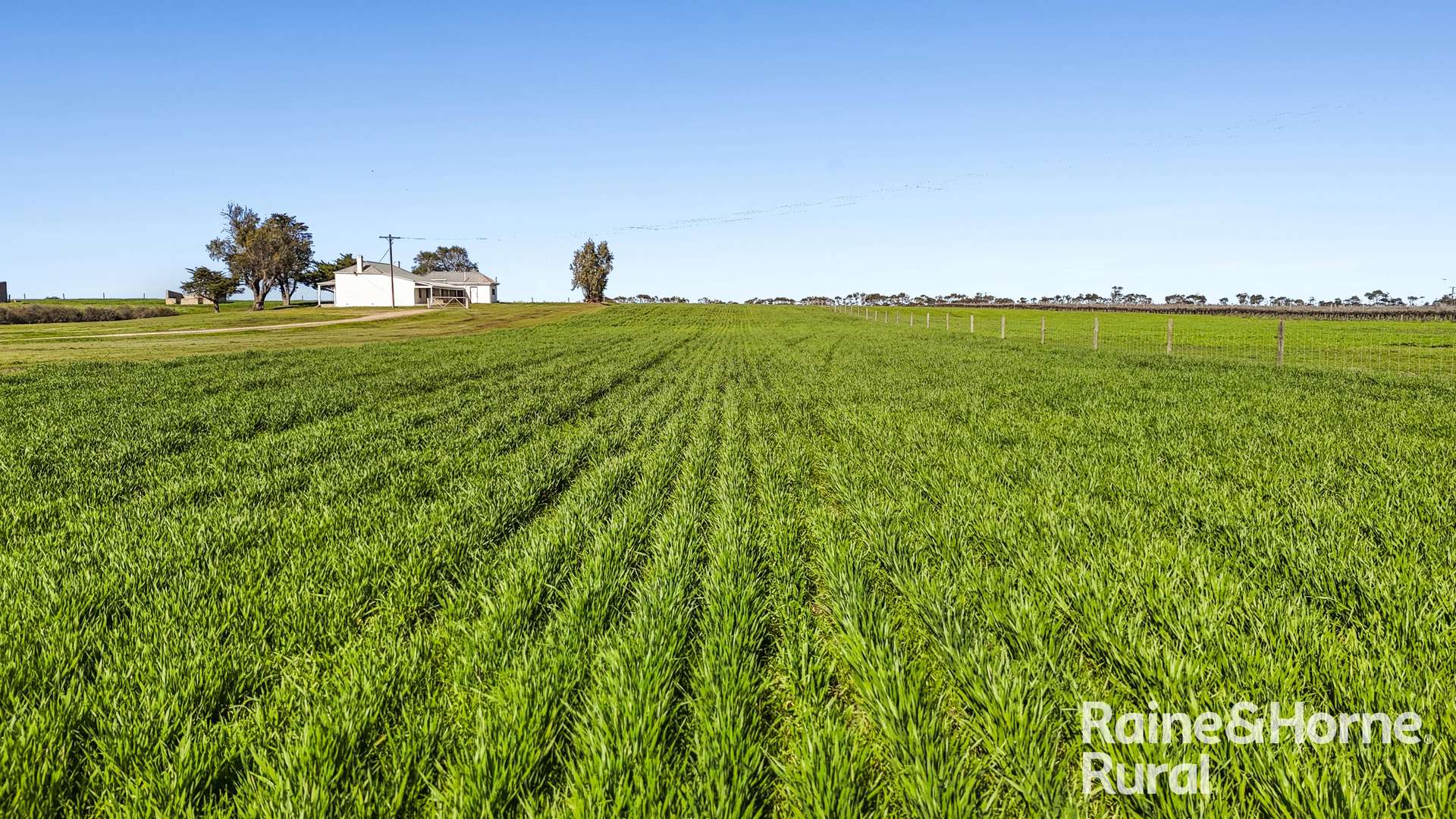 144 Verco Road, Langhorne Creek For Sale by Farmbuy.com - image 7
