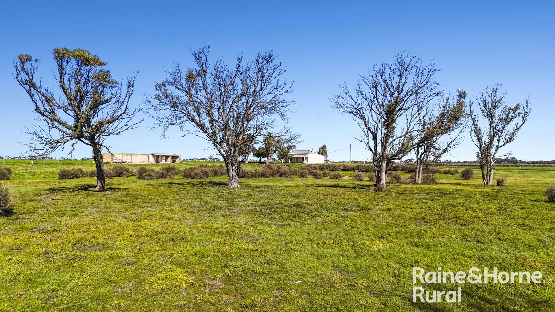 144 Verco Road, Langhorne Creek For Sale by Farmbuy.com - image 24