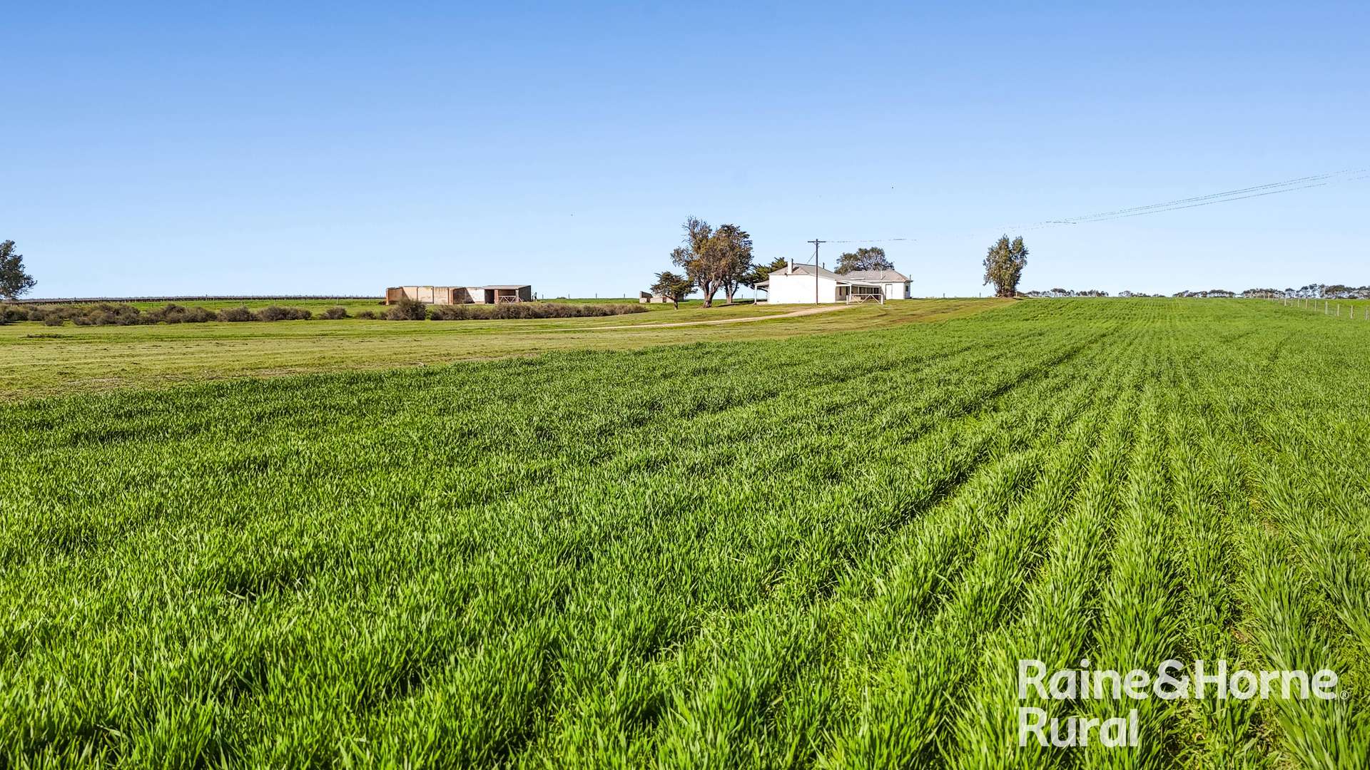 144 Verco Road, Langhorne Creek For Sale by Farmbuy.com - image 19