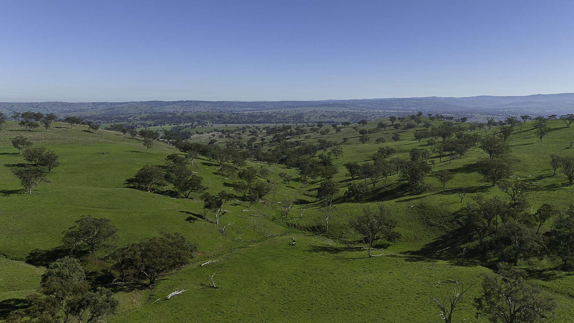 7128 Golden Highway, Merriwa For Sale by Farmbuy.com - image 20