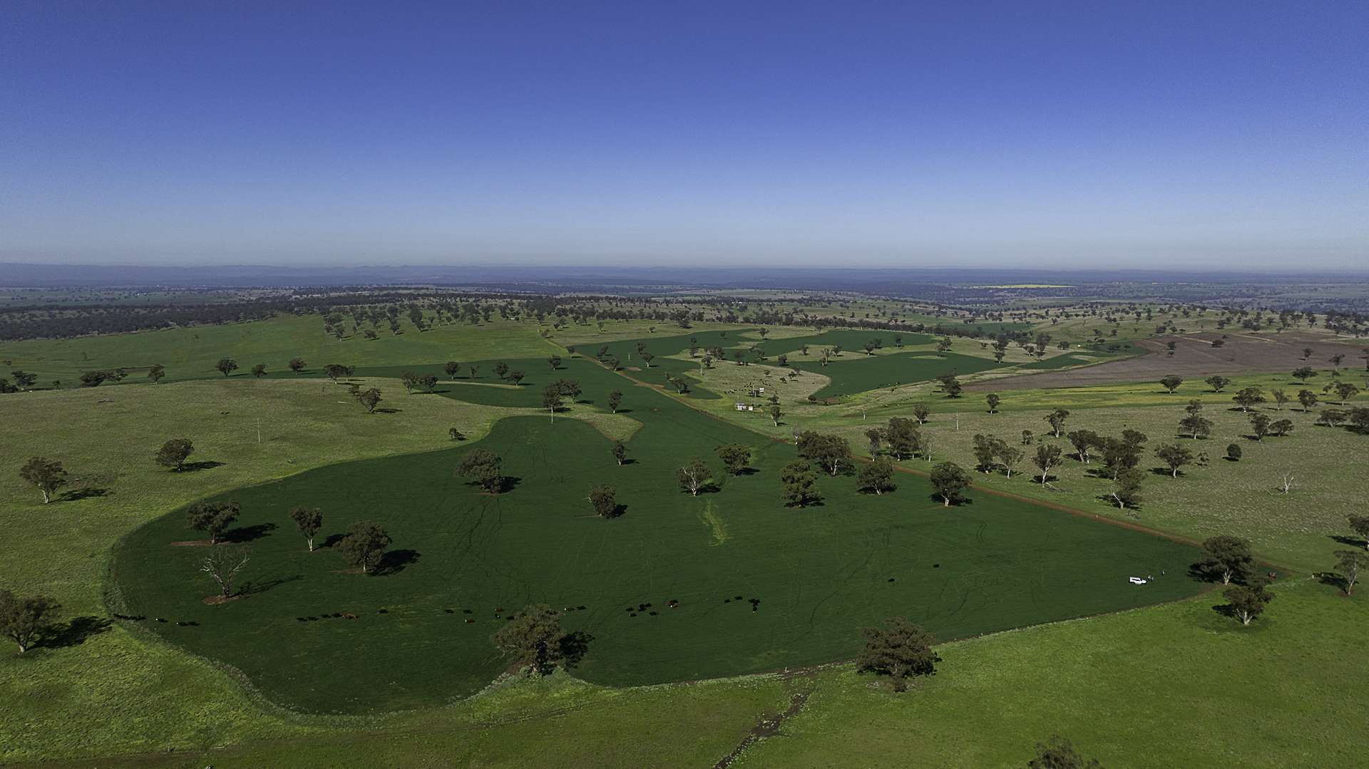 7128 Golden Highway, Merriwa For Sale by Farmbuy.com - image 21