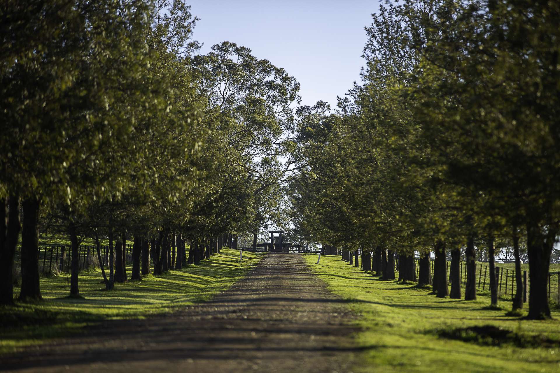 7128 Golden Highway, Merriwa For Sale by Farmbuy.com - image 17