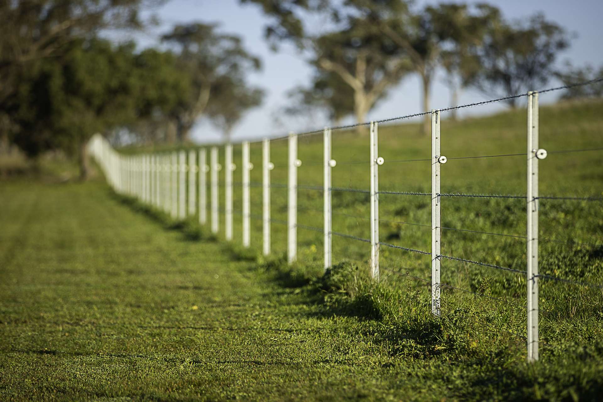 7128 Golden Highway, Merriwa For Sale by Farmbuy.com - image 18