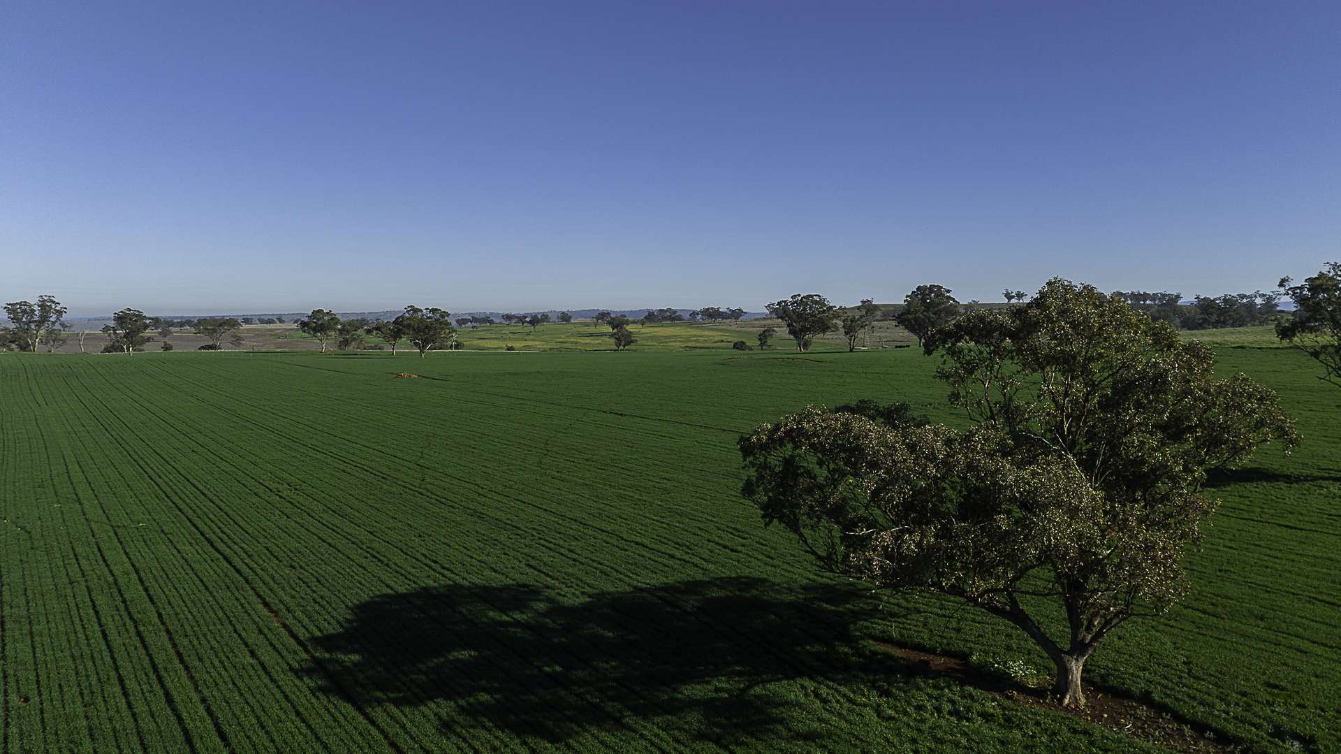 7128 Golden Highway, Merriwa For Sale by Farmbuy.com - image 26