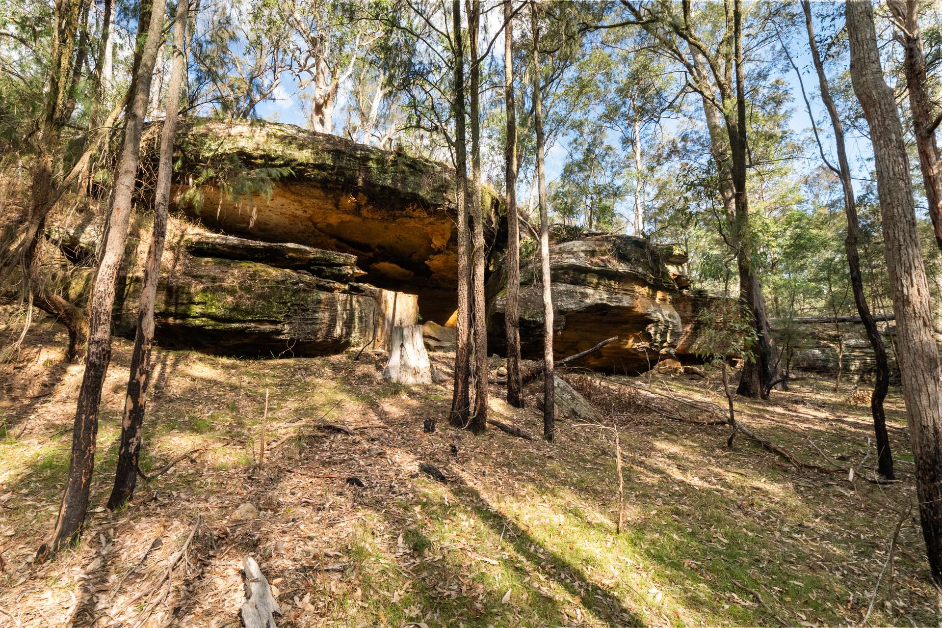 649 Putty Valley Road, Putty For Sale by Farmbuy.com - image 19