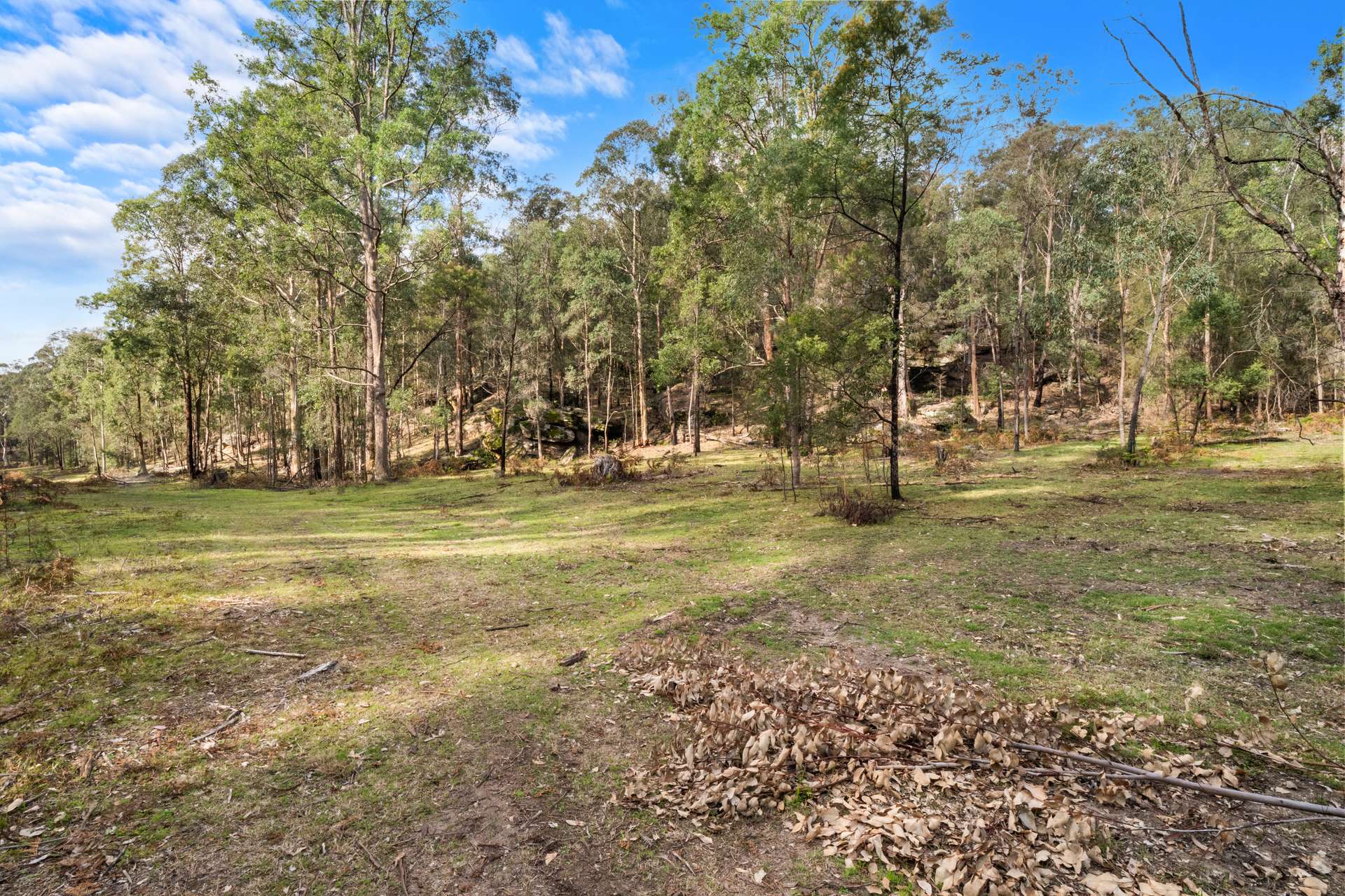 649 Putty Valley Road, Putty For Sale by Farmbuy.com - image 17