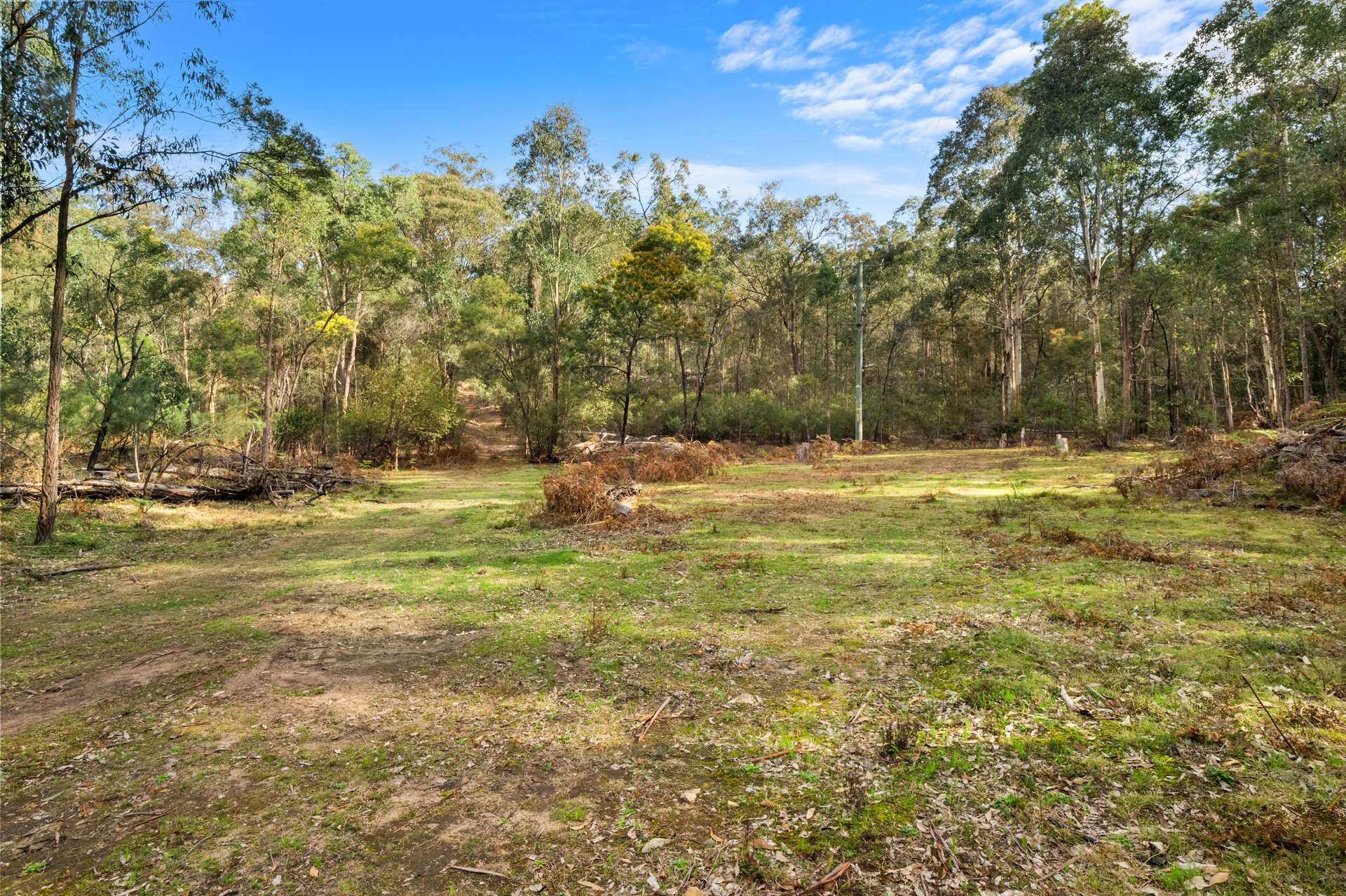 649 Putty Valley Road, Putty For Sale by Farmbuy.com - image 16