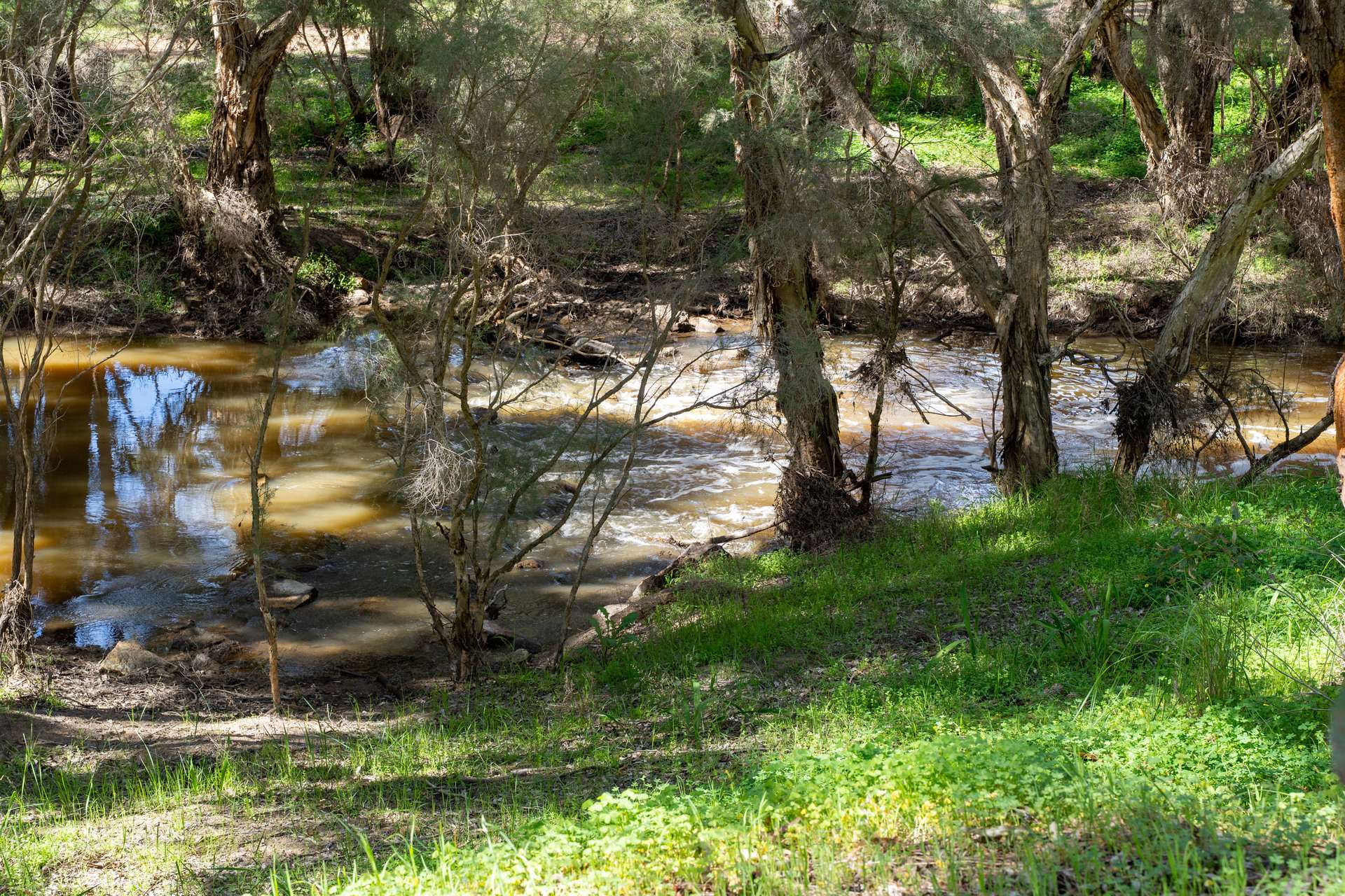 Bullsbrook For Sale by Farmbuy.com - image 32