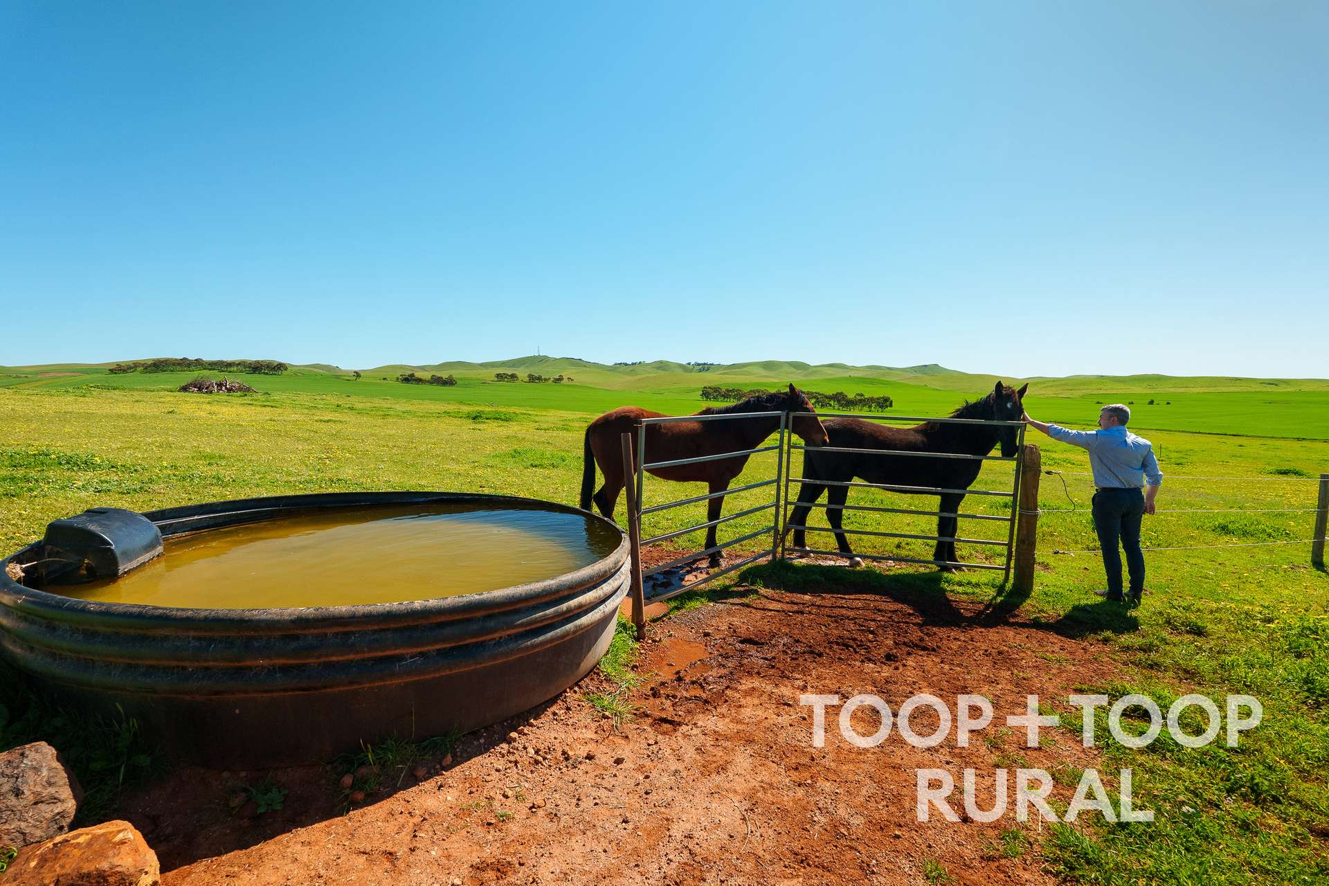 965 Eudunda Road, Dutton For Sale by Farmbuy.com - image 10