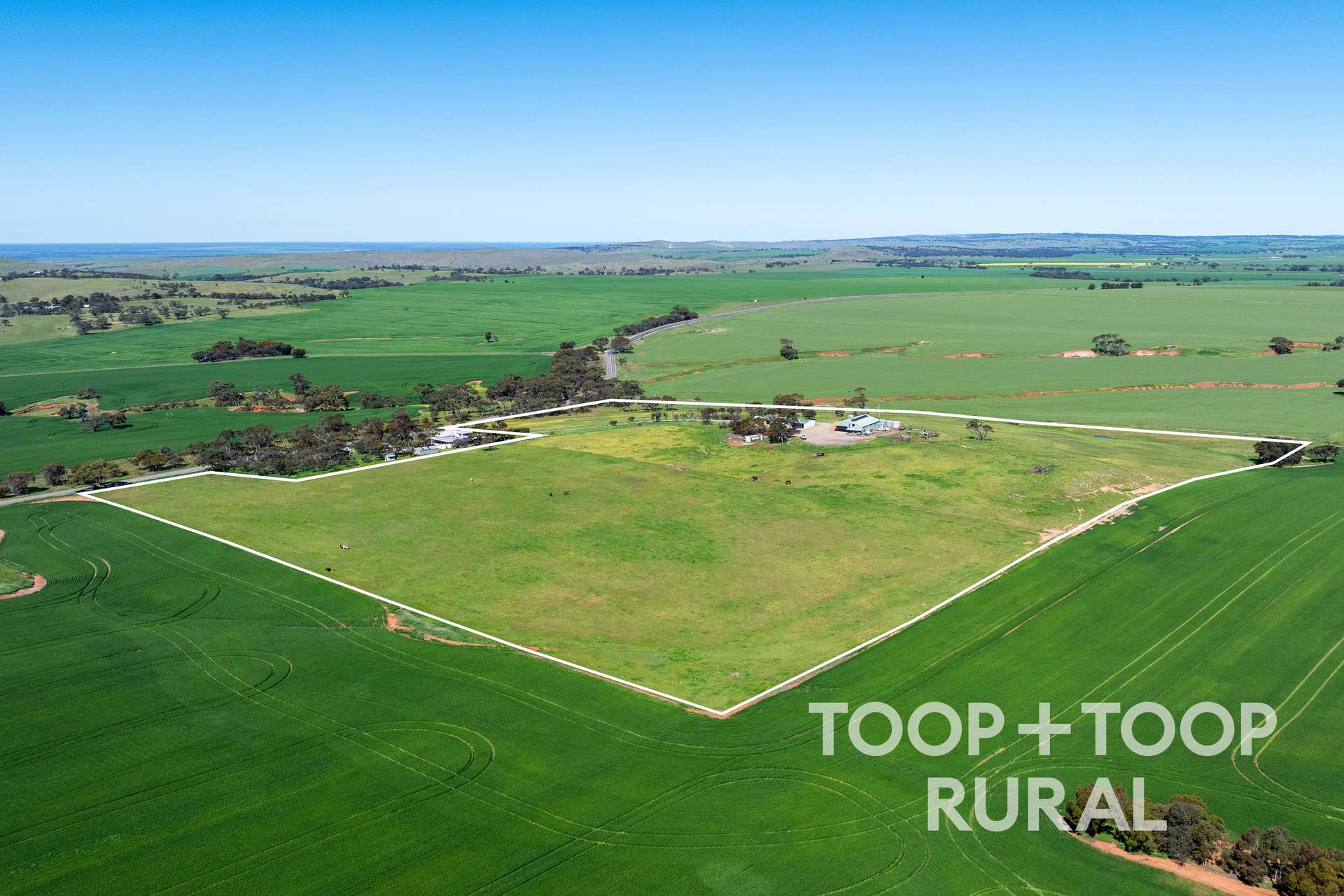 965 Eudunda Road, Dutton For Sale by Farmbuy.com - image 27