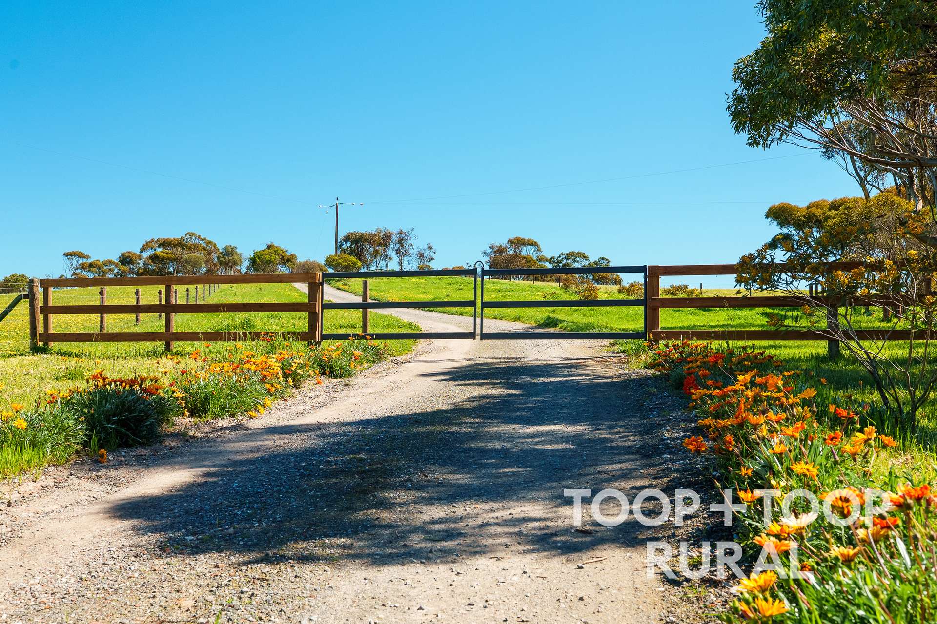 965 Eudunda Road, Dutton For Sale by Farmbuy.com - image 1