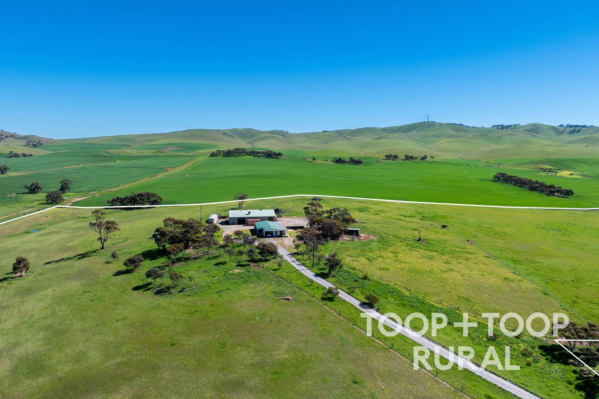 965 Eudunda Road, Dutton For Sale by Farmbuy.com - image 2