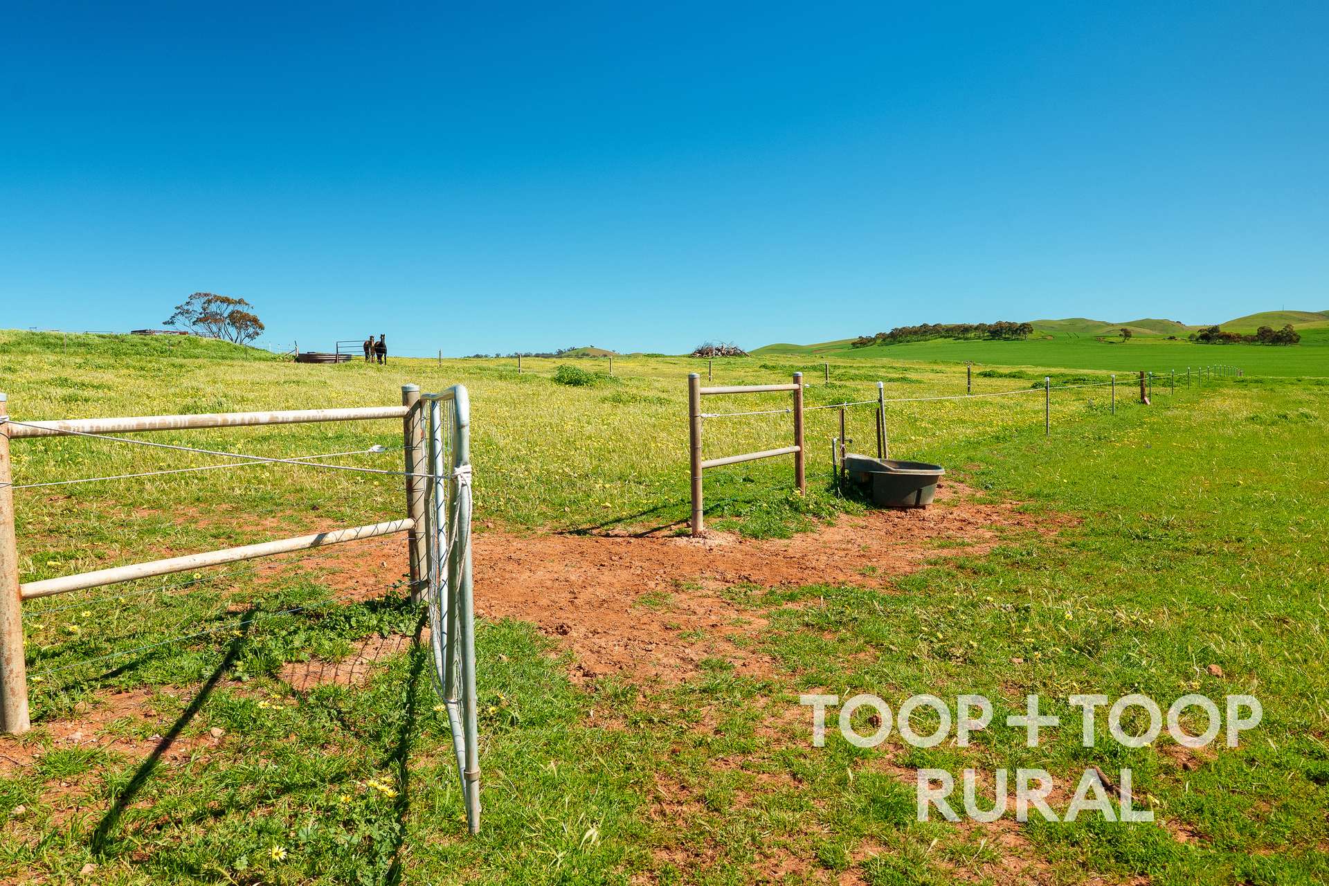 965 Eudunda Road, Dutton For Sale by Farmbuy.com - image 11