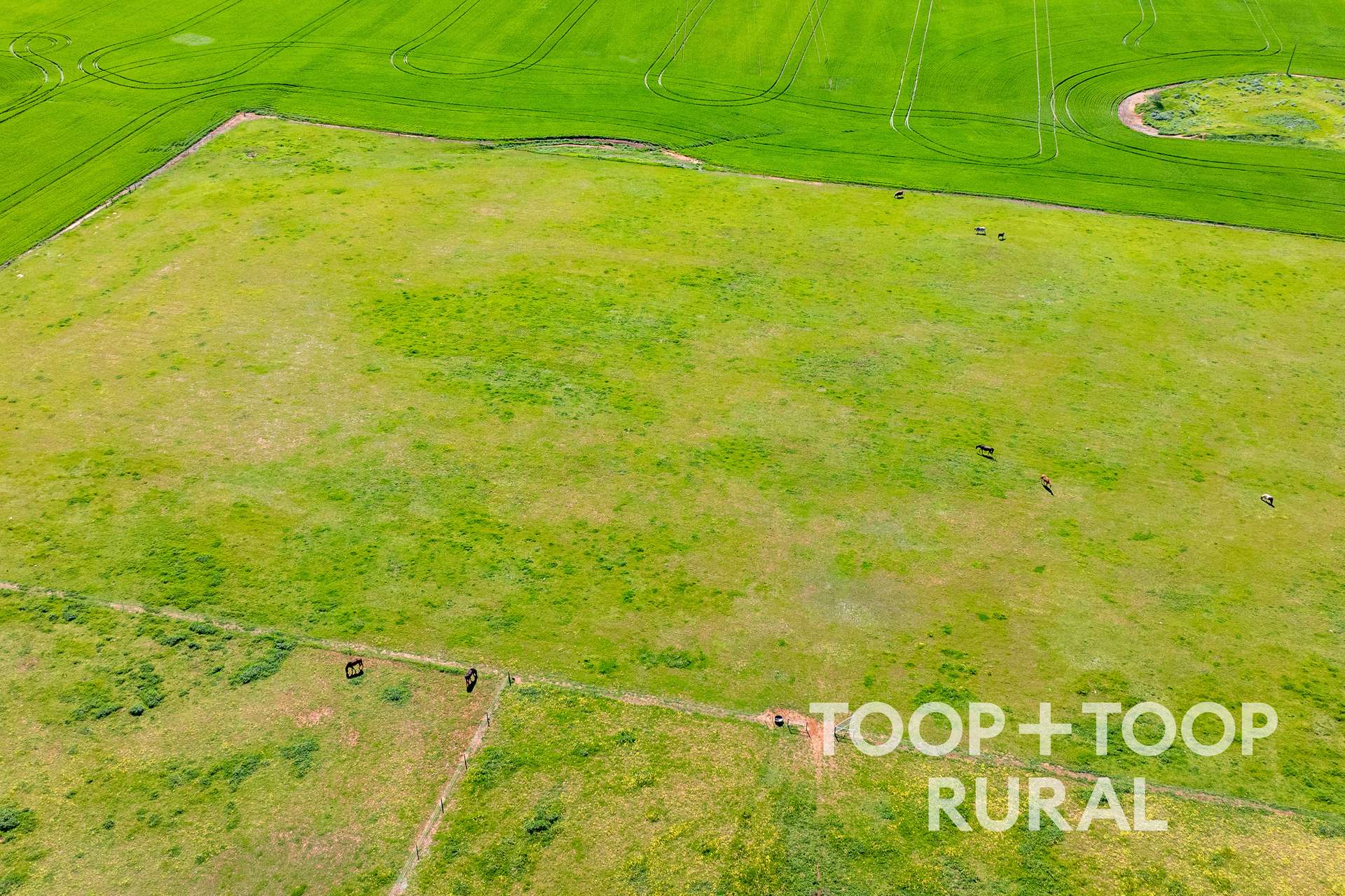 965 Eudunda Road, Dutton For Sale by Farmbuy.com - image 29