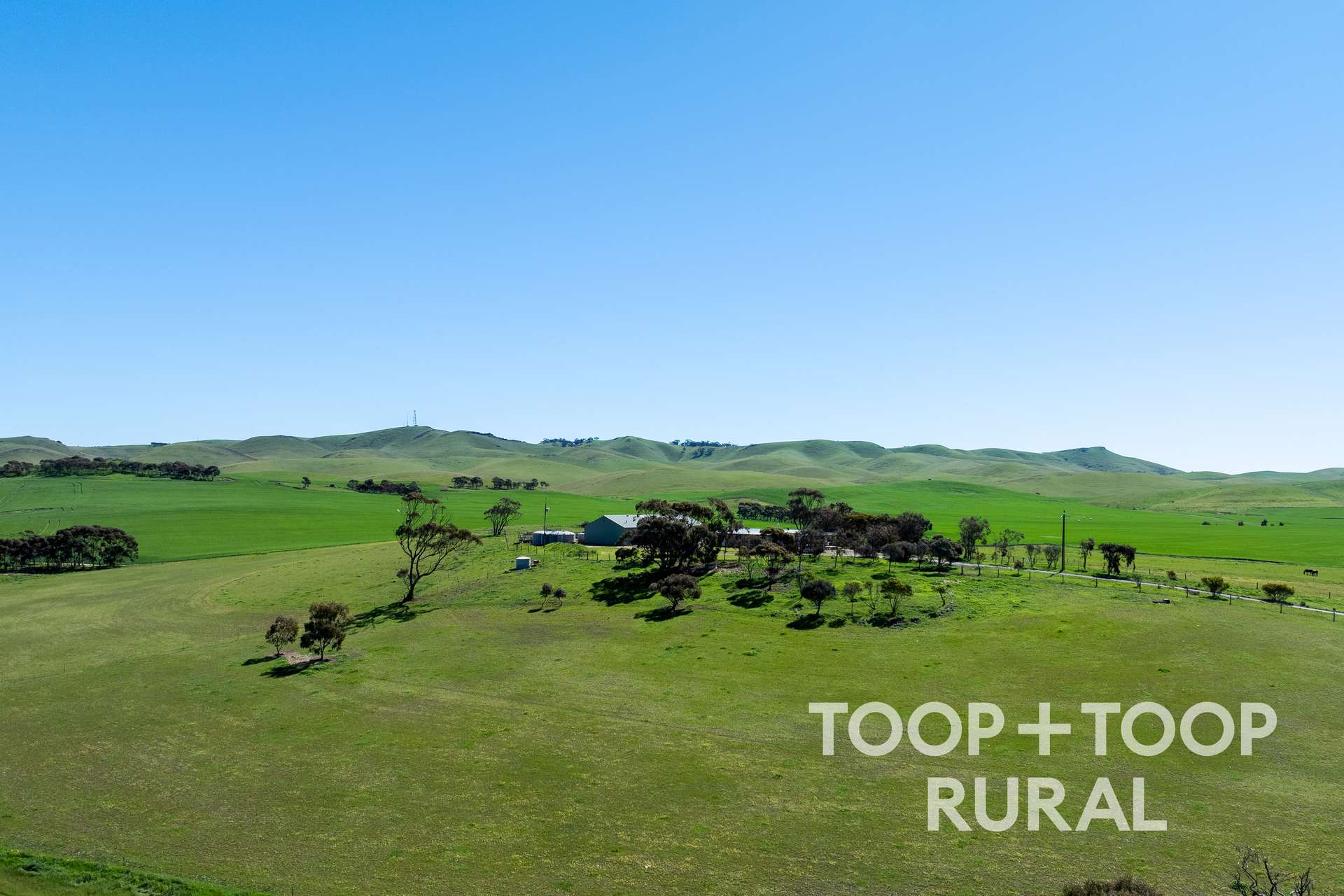 965 Eudunda Road, Dutton For Sale by Farmbuy.com - image 26
