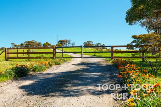 965 Eudunda Road, Dutton SA 5356