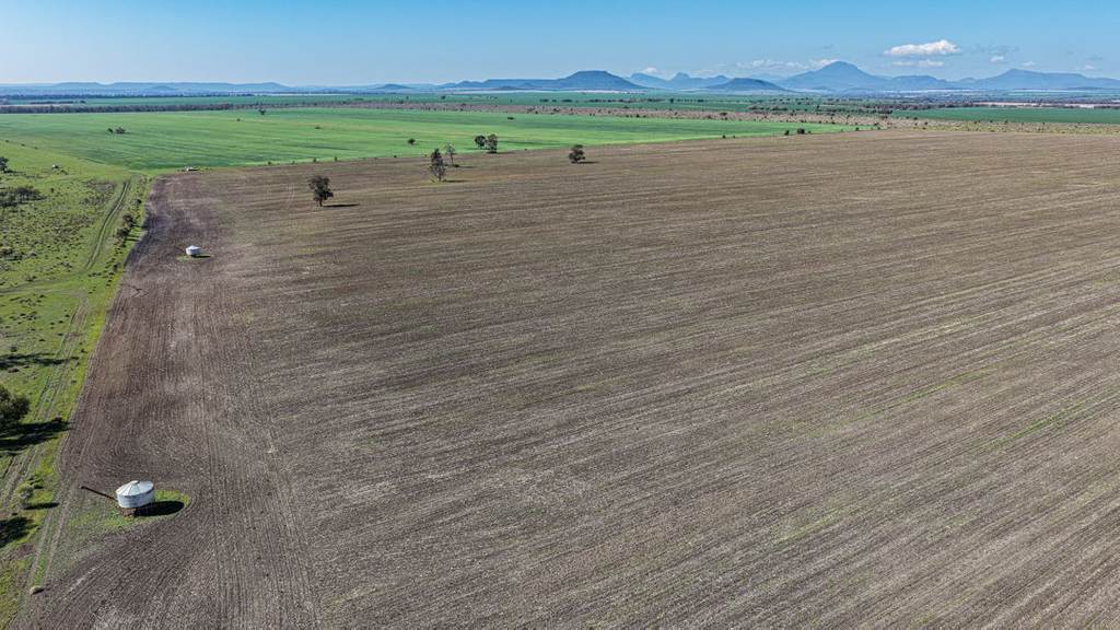 Gurley NSW 2398