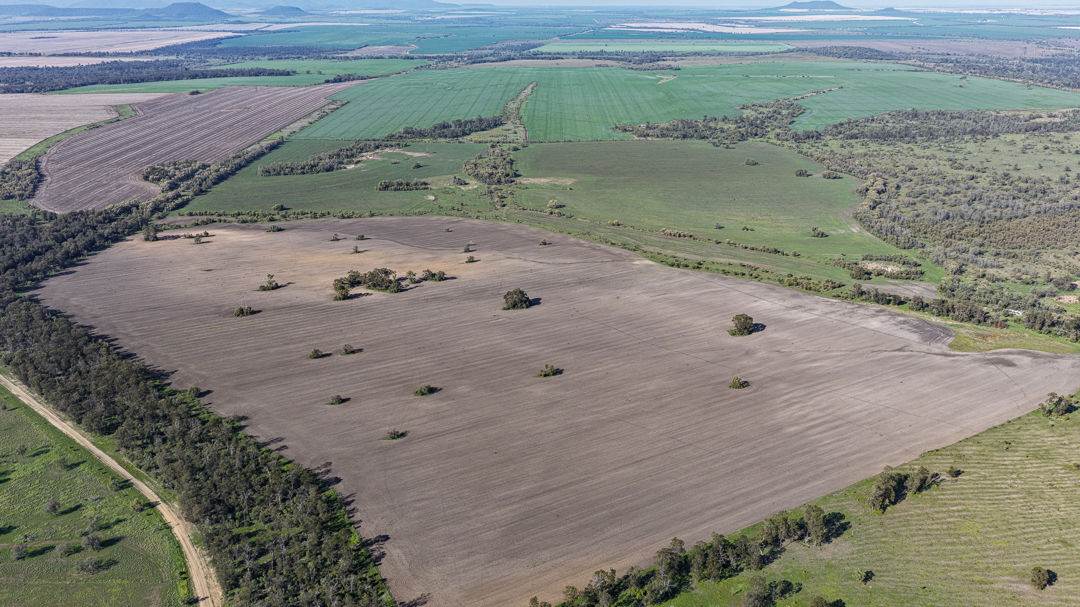 Gurley For Sale by Farmbuy.com - image 8
