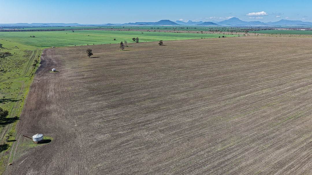 Gurley For Sale by Farmbuy.com - image 1
