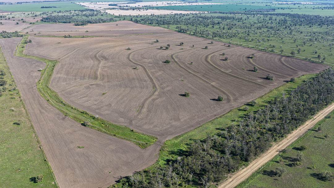 Gurley For Sale by Farmbuy.com - image 7