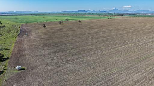 Gurley NSW 2398