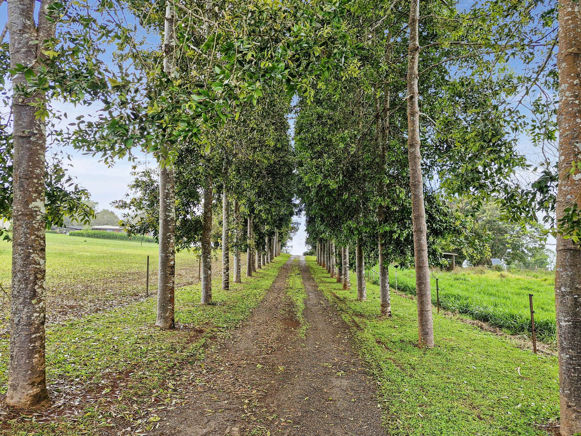 57 Anderson Road, Peeramon For Sale by Farmbuy.com - image 33
