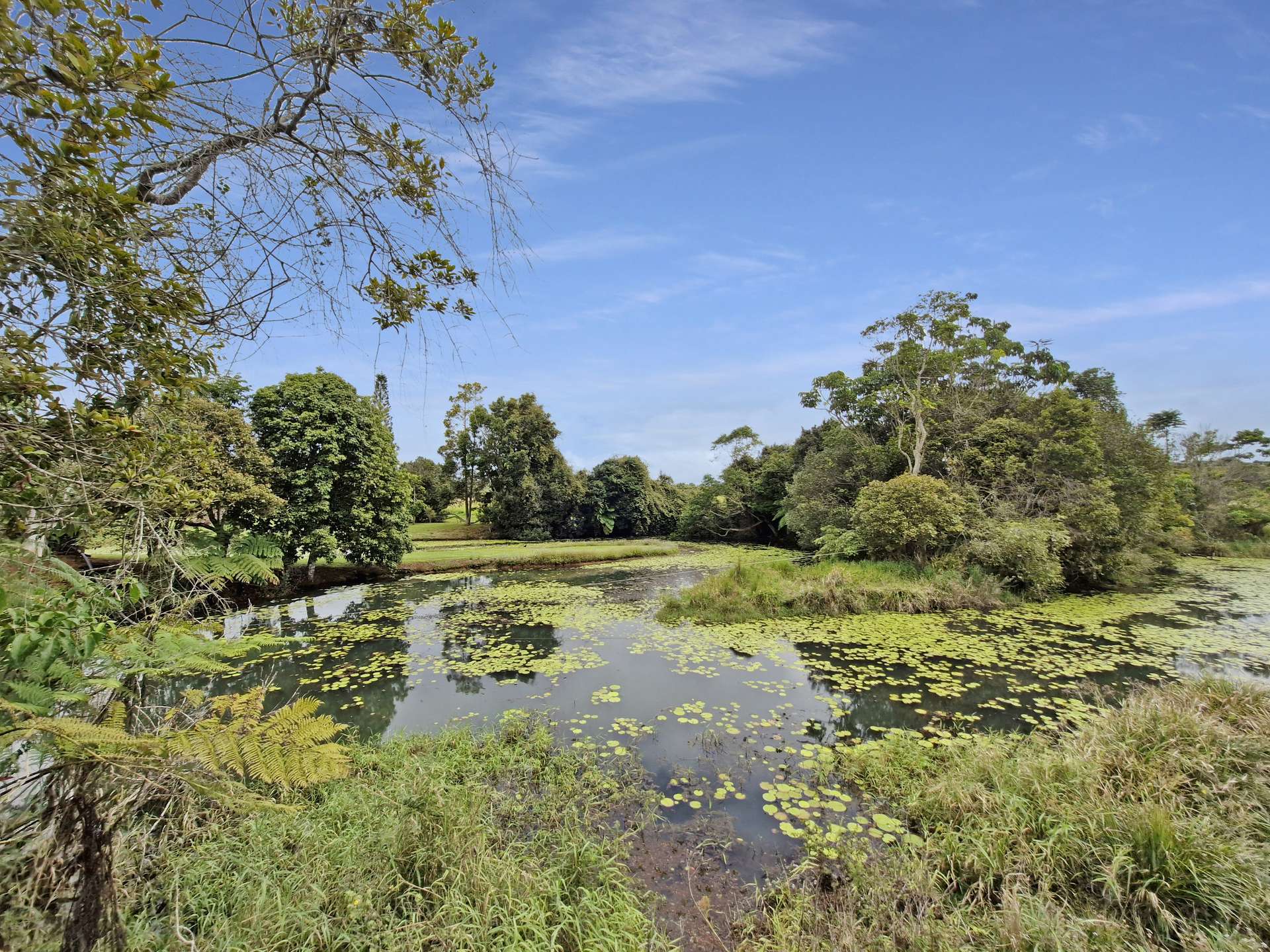 57 Anderson Road, Peeramon For Sale by Farmbuy.com - image 27