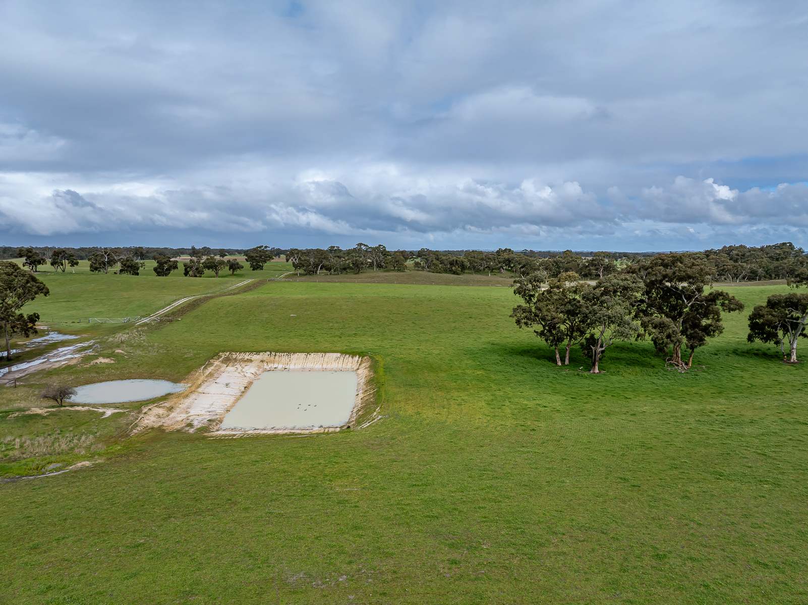 3373 Naracoorte Road, Western Flat For Sale by Farmbuy.com - image 11