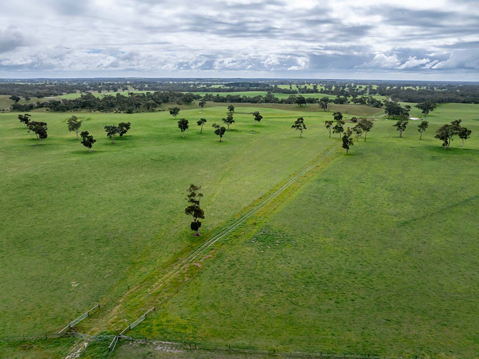 3373 Naracoorte Road, Western Flat For Sale by Farmbuy.com - image 22