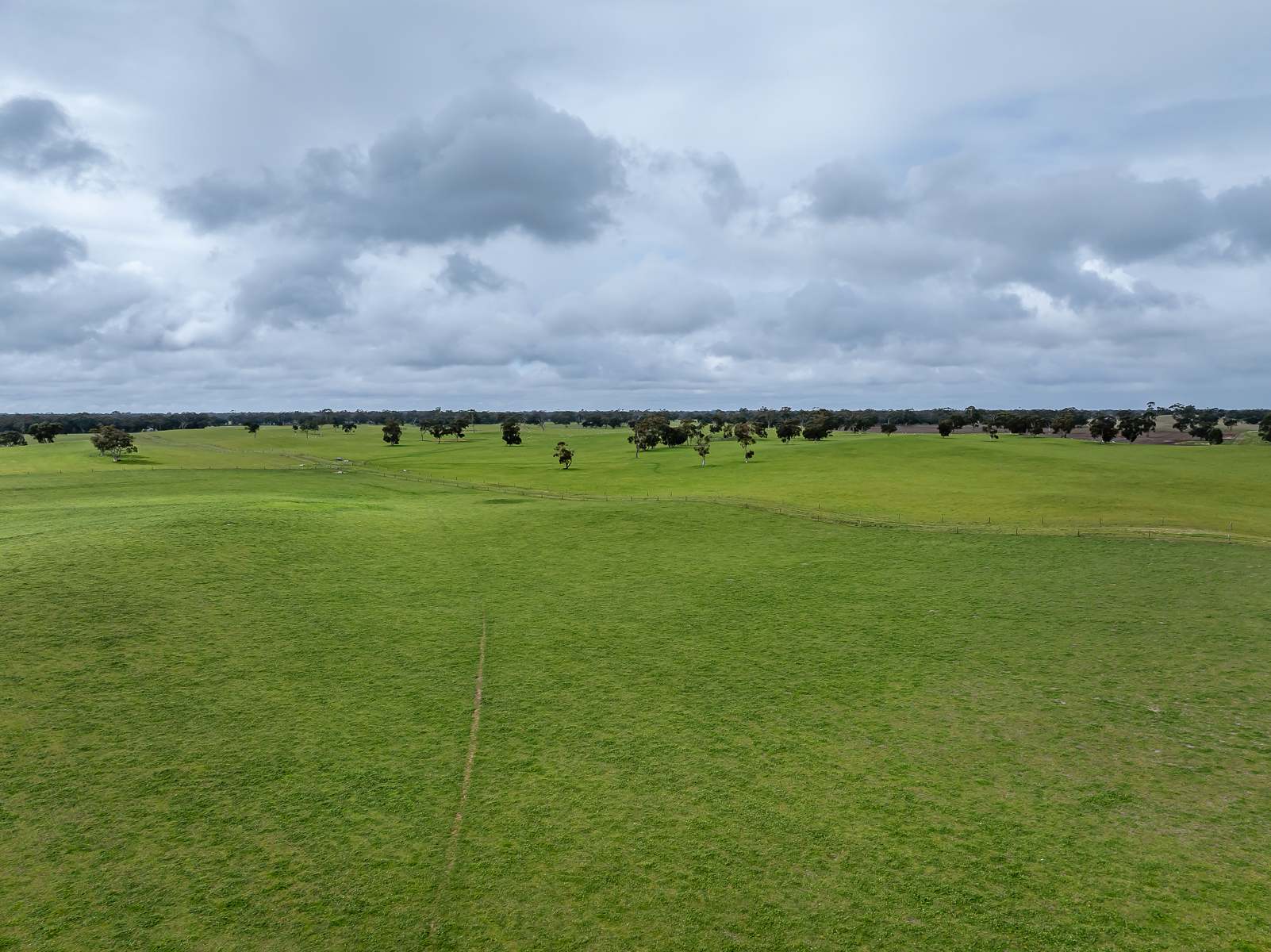 3373 Naracoorte Road, Western Flat For Sale by Farmbuy.com - image 1