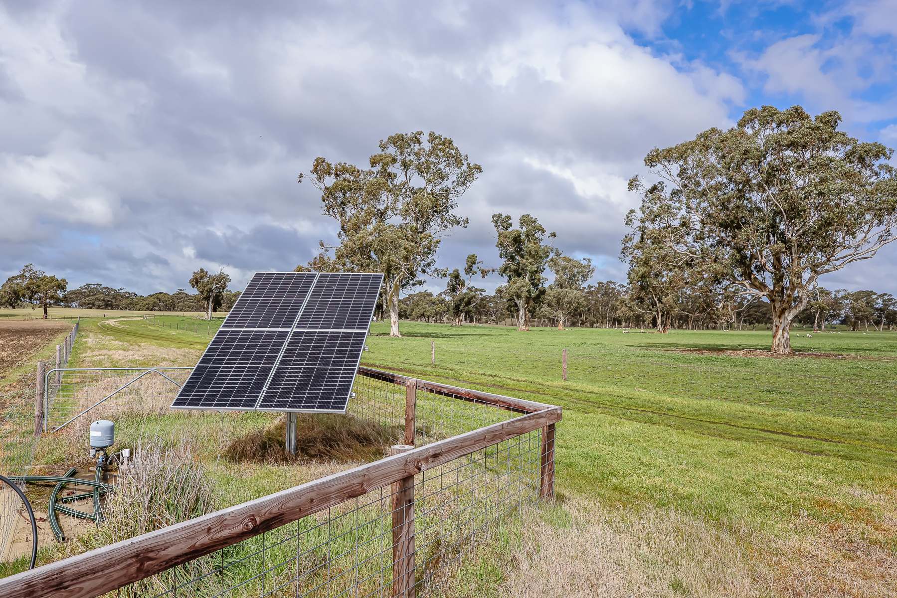 3373 Naracoorte Road, Western Flat For Sale by Farmbuy.com - image 13