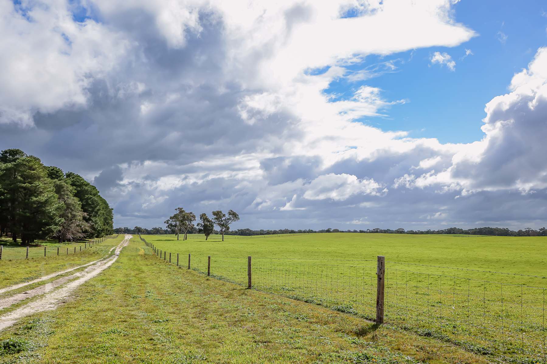 3373 Naracoorte Road, Western Flat For Sale by Farmbuy.com - image 4
