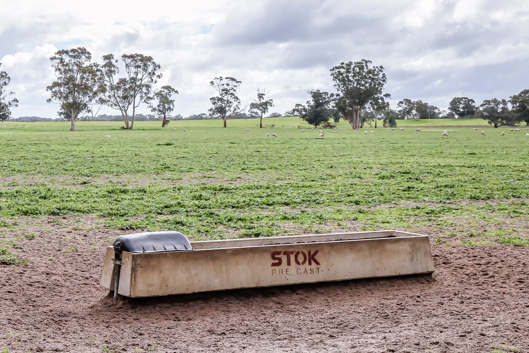 3373 Naracoorte Road, Western Flat For Sale by Farmbuy.com - image 12