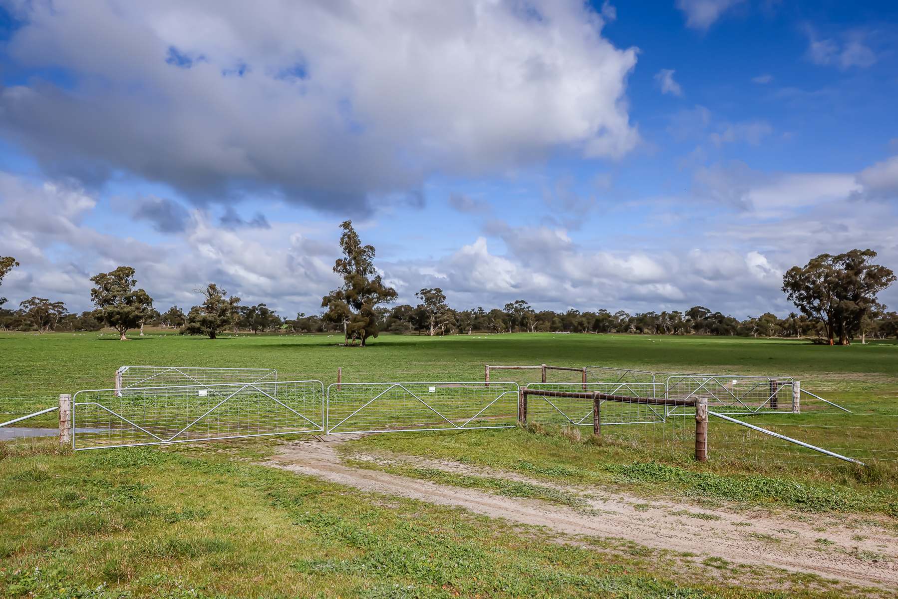 3373 Naracoorte Road, Western Flat For Sale by Farmbuy.com - image 5