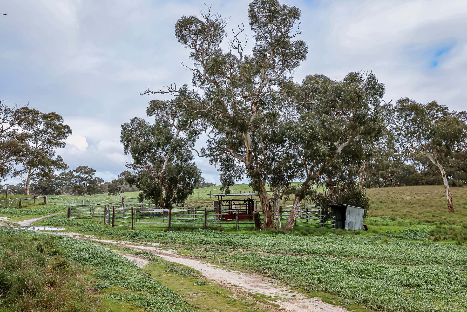 3373 Naracoorte Road, Western Flat For Sale by Farmbuy.com - image 18