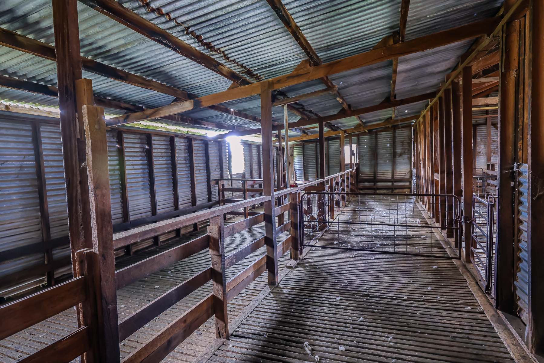 3373 Naracoorte Road, Western Flat For Sale by Farmbuy.com - image 17