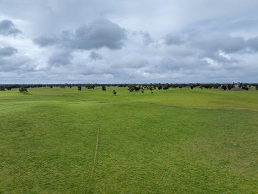 3373 Naracoorte Road, Western Flat SA 5268