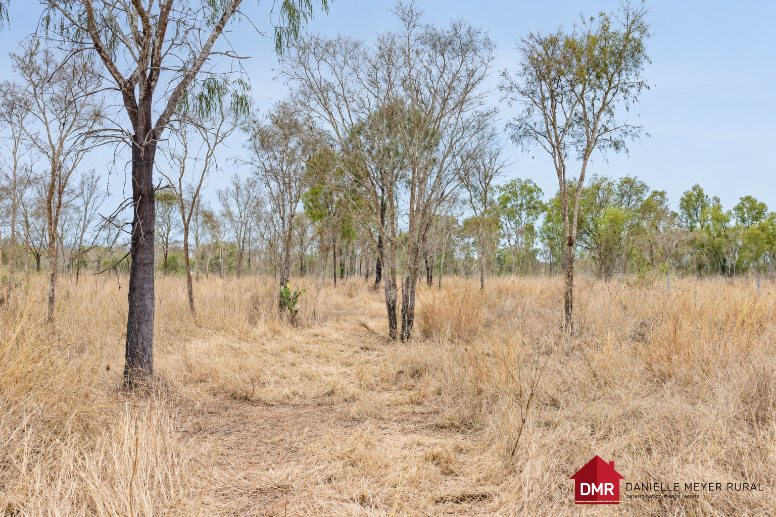 Lot 217,  Gayndah Mundubbera Road, Gayndah For Sale by Farmbuy.com - image 2