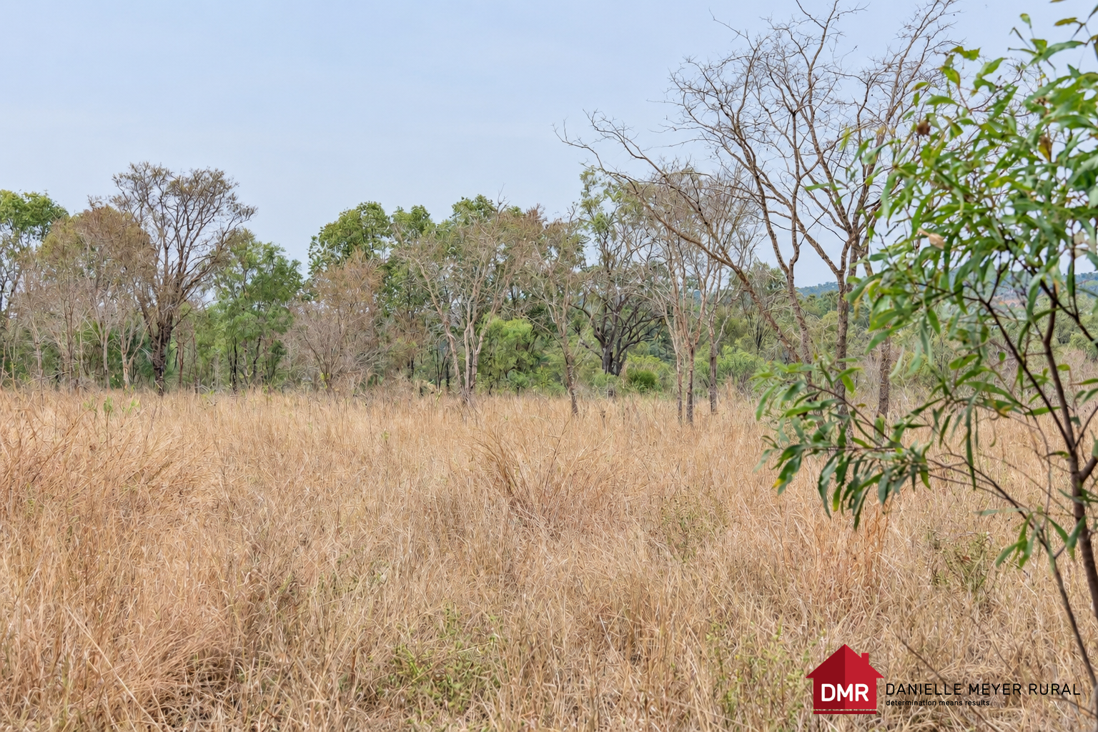 Lot 2, 53 Gayndah Mundubbera Road, Gayndah For Sale by Farmbuy.com - image 5