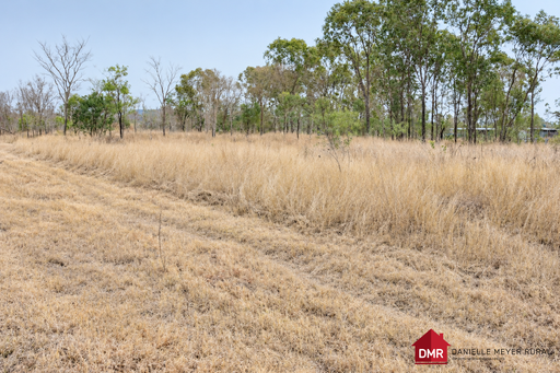 Farm For Sale - QLD - Gayndah - 4625 - PRIVATE 10.84 ACRE LIFESTYLE BLOCK WITH DAM - MINUTES FROM GAYNDAH 