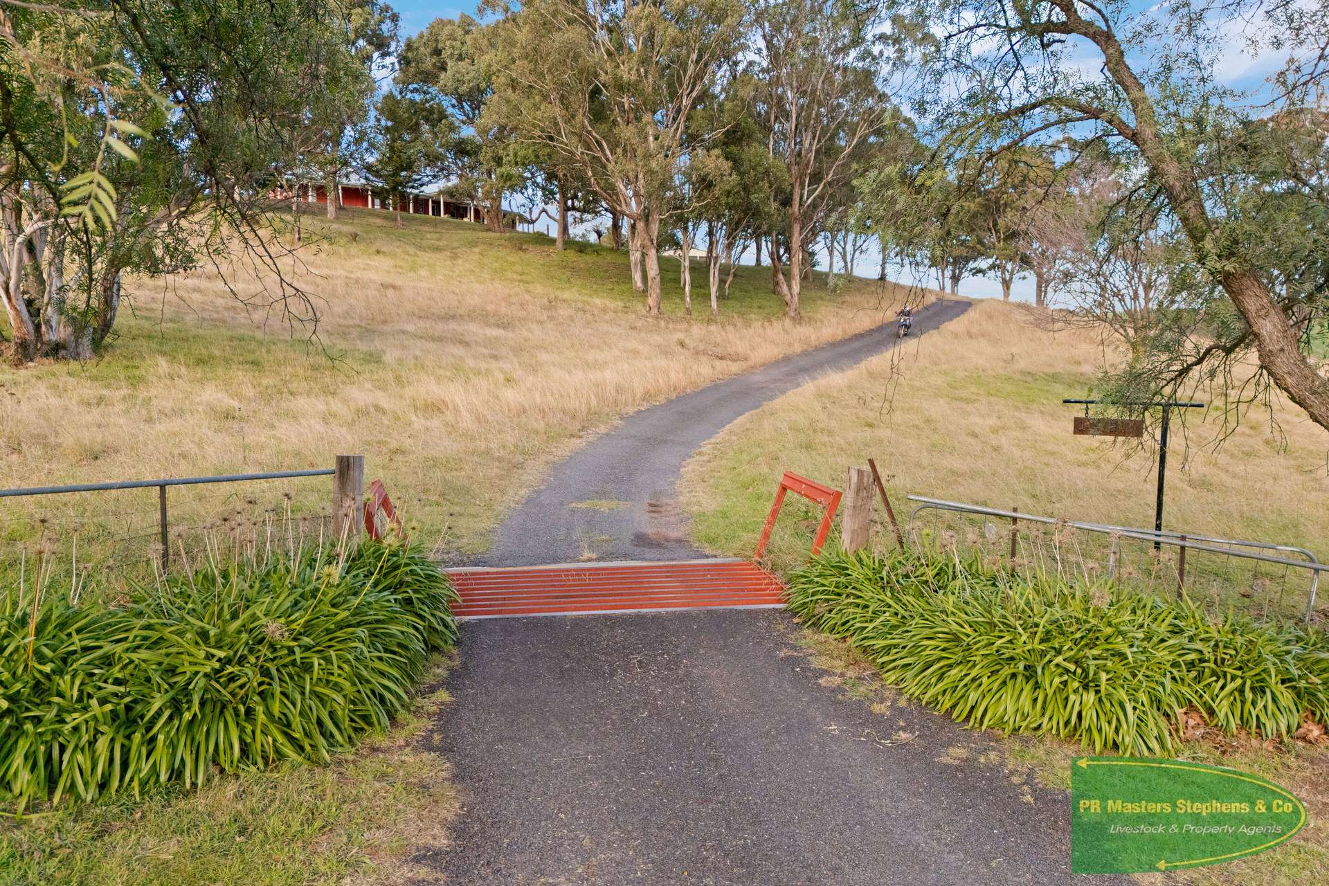 1249 Ganbenang Road, Lowther For Sale by Farmbuy.com - image 14