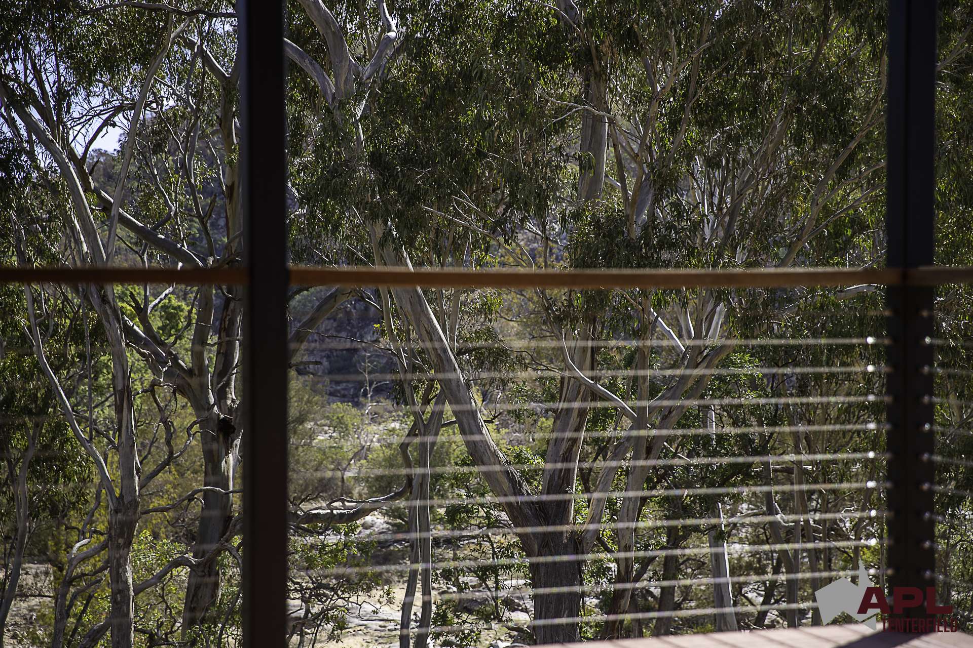 617 Bluff River Road, Tenterfield For Sale by Farmbuy.com - image 14