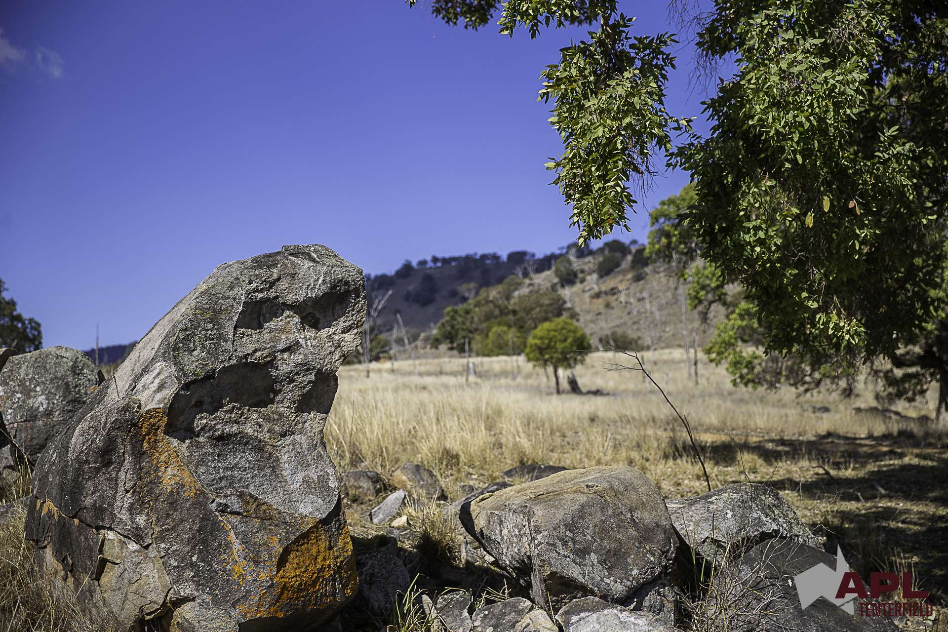 617 Bluff River Road, Tenterfield For Sale by Farmbuy.com - image 31