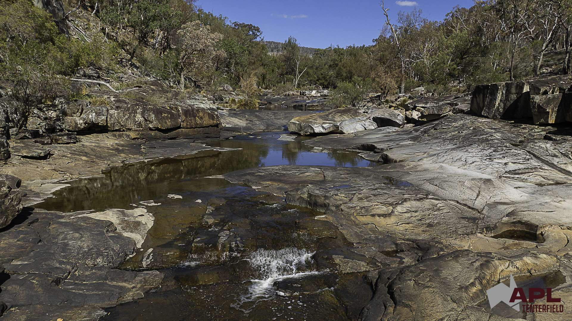 617 Bluff River Road, Tenterfield For Sale by Farmbuy.com - image 4